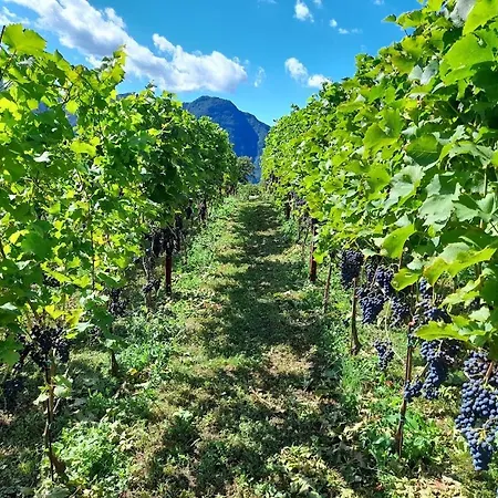 Cascina Teresina-3